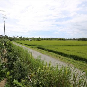 家を新築する土地はどっち?土地選び住まい相談